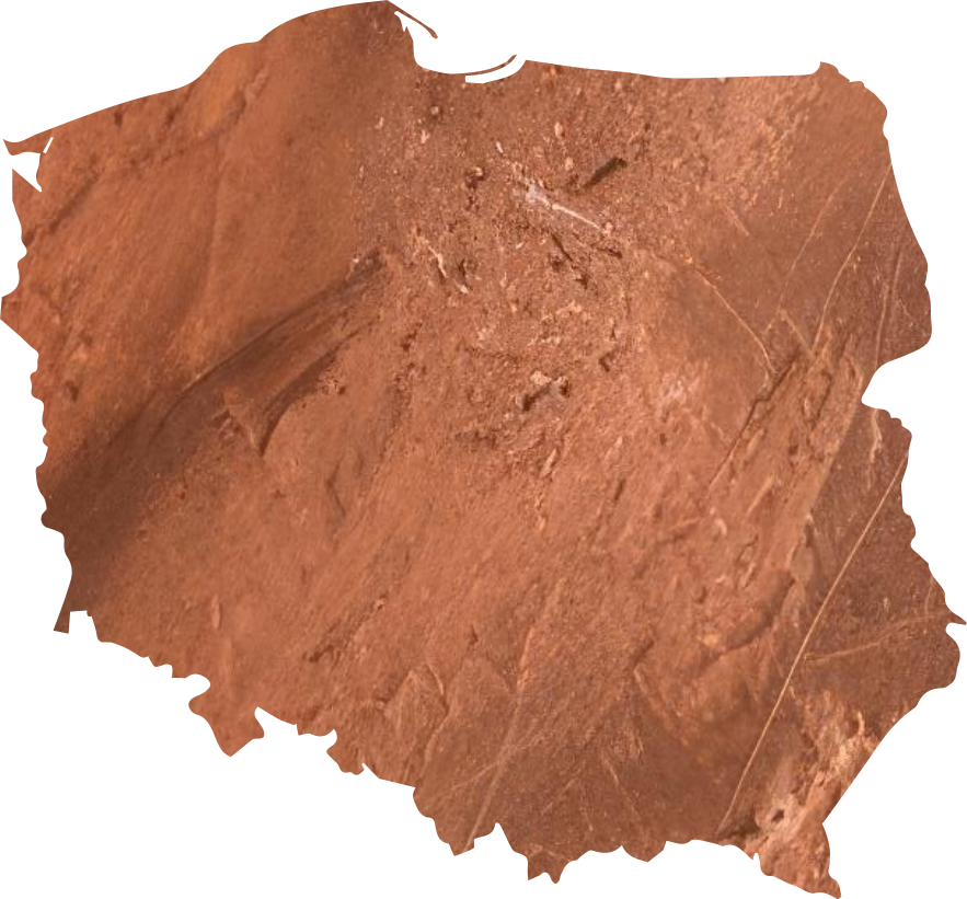 Polish copper