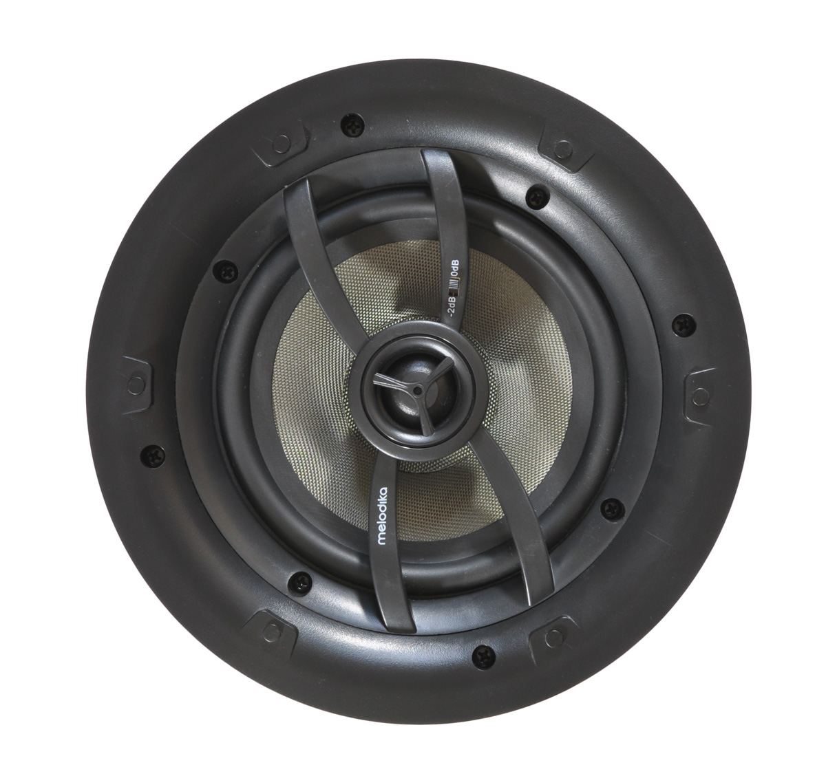 <p>Fiberglass midrange with phase plug</p>