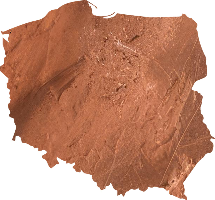 <p>POLISH COPPER</p>